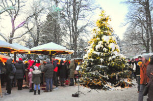 Weihnachtsbaum, Gäste - Weihnachtsmarkt im Türkenschanzpark